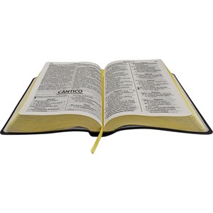 Bíblia Sagrada Economica | ARA | Letra Gigante | Capa Preto Luxo