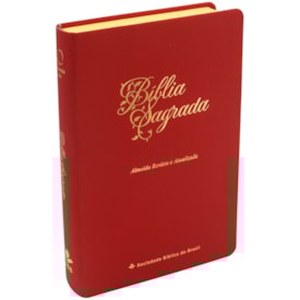 Bíblia Sagrada Economica | ARA | Letra Gigante | Capa Vermelho Luxo