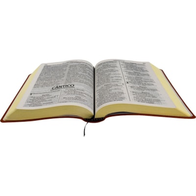 image_7559fd8b-e8c0-4d47-a477-fa2d96f17e16