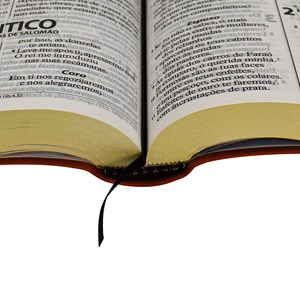 Bíblia Sagrada Economica | ARA | Letra Gigante | Capa Vermelho Luxo
