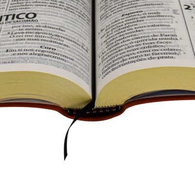 image_37972f60-dfa1-41b1-af29-041e3a72d150