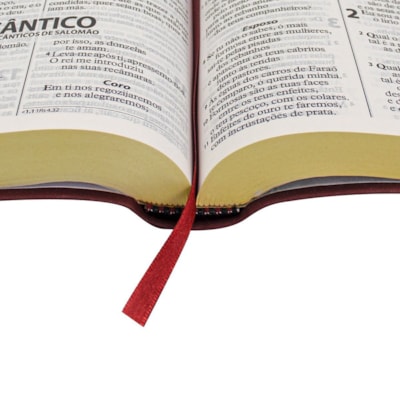 image_60a7df67-cafc-4f41-9b2c-567bbcc7512f