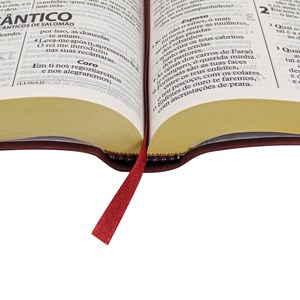 Bíblia Sagrada Economica | ARA | Letra Gigante | Capa Vinho Luxo