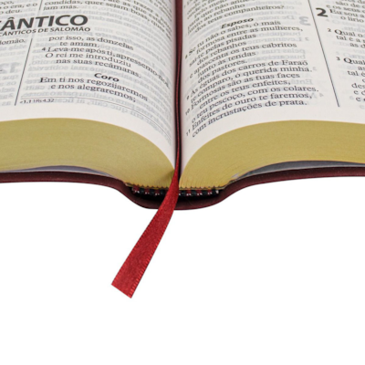 image_bd258109-3183-4fda-aa33-c99513da9ecd