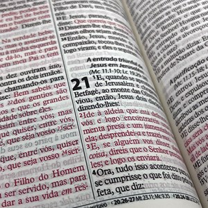 Bíblia Sagrada Economica | ARC | Letra Gigante | Capa Azul Luxo
