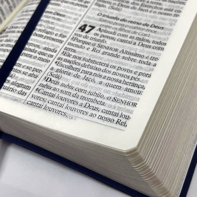 image_2f506784-7ff7-446a-8163-6a6794d8bf48