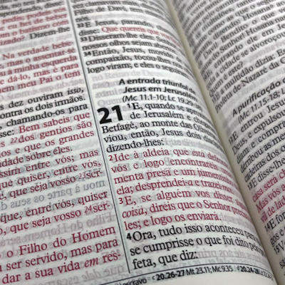 image_a0fb4e15-426a-4da6-a574-5b3a61c9a5ba