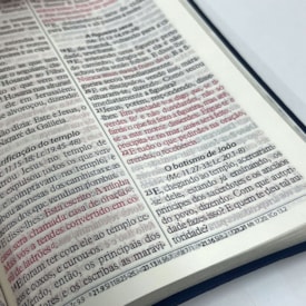 Segunda imagem do produto Bíblia Sagrada Economica | ARC | Letra Gigante | Capa Preto Luxo