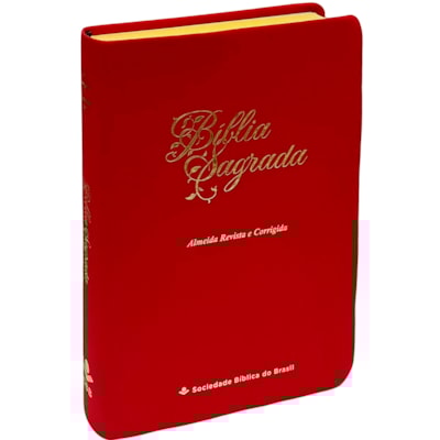 Imagem Principal - c3330580-7fa0-4d26-873b-8029e2f48f53