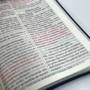 Segunda imagem do produto Bíblia Sagrada Economica | ARC | Letra Gigante | Capa Vermelho Luxo