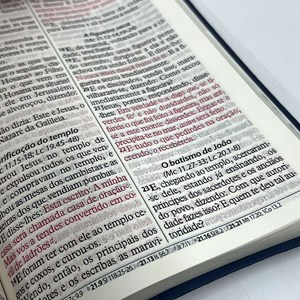 Bíblia Sagrada Economica | ARC | Letra Gigante | Capa Vermelho Luxo
