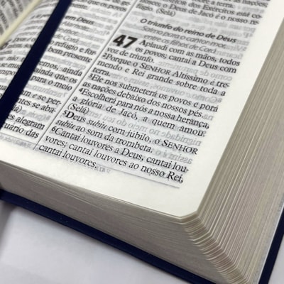 image_697fc67b-c38f-4de7-83cc-51a6267dea2b