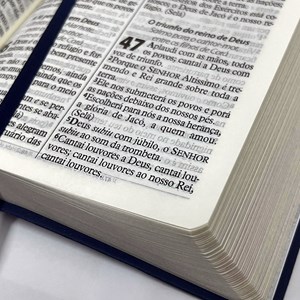 Bíblia Sagrada Economica | ARC | Letra Gigante | Capa Vermelho Luxo