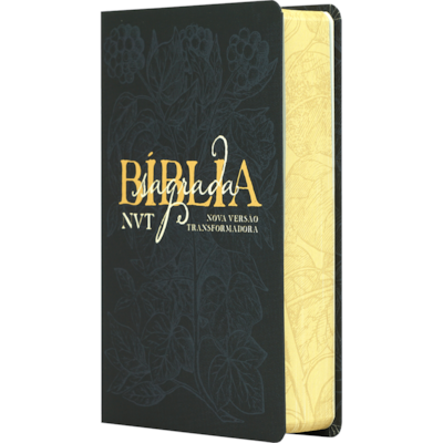 image_06b01c15-0772-4985-87a7-1f7bd8105907