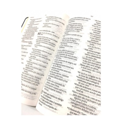 image_e2b1347c-07c5-435e-a09b-d4eeb9f75736