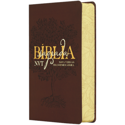 image_02477b4c-f450-40ac-86ec-a6ed727ae5c7