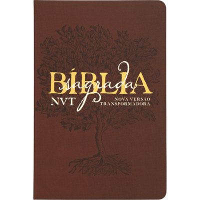 Imagem Principal - 75d60479-022b-4c96-a123-e5b3b80ee04b