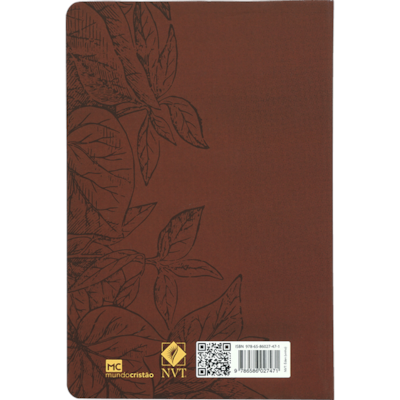 image_7d89809f-4ef6-4cab-8fbf-dd62ab113128