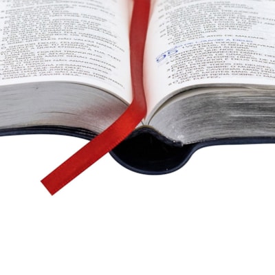 image_00c61ff7-dd59-4e18-aaaf-14599c7290fc