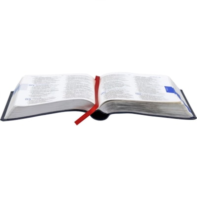 image_94b73667-1291-4be3-9b17-ceea39ecfe82