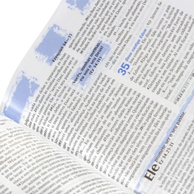 image_3c2b88d4-0881-4d1a-9623-42f0de9af575