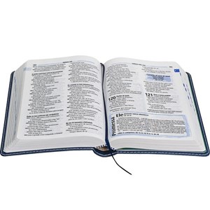Bíblia Sagrada Edição com Notas para Jovens | NTLH Letra Normal