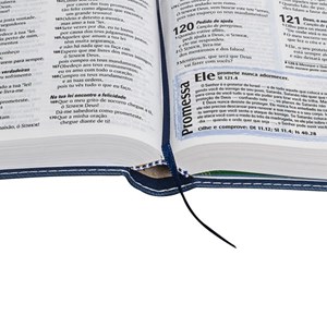 Bíblia Sagrada Edição com Notas para Jovens | NTLH Letra Normal