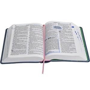 Bíblia Sagrada Edição com Notas para Jovens | NTLH Letra Normal | Capa Azul