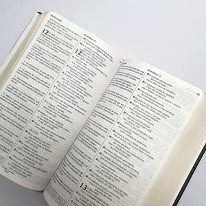 Bíblia Sagrada Edição Comparativa | ARC e NVI | Letra Média | Capa Luxo