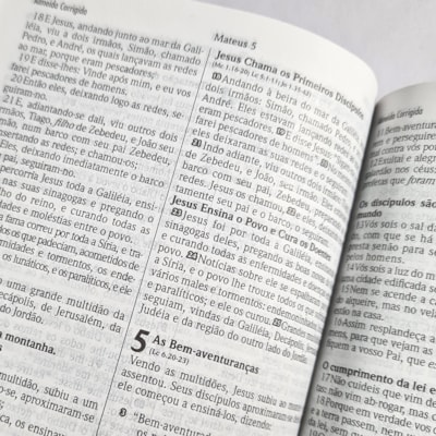 image_09ea7e90-25c8-4f38-a32a-f3c4663bcfaf