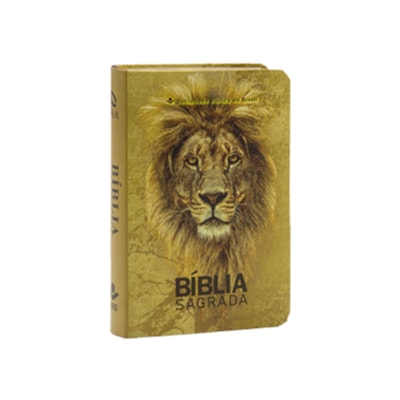 Imagem Principal - 09ce8f81-308f-4f84-9600-e847f9d86aeb