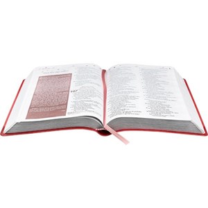 Bíblia Sagrada Elas Falam de Deus | Letra Normal | NTLH | Capa Pêssego Couro
