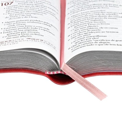 image_121f1be1-b26d-4a44-80de-fff4dbadbddf