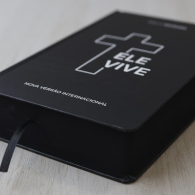 image_19dafe80-8728-42ca-b32f-0fadb85e09d3