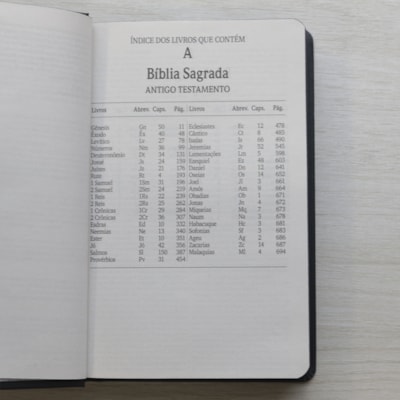 image_a15b8911-bc38-4965-8962-2b6f5993160f