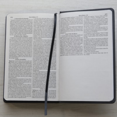 image_49a9e094-4ab2-4699-8dd6-ab2bc3bb8483