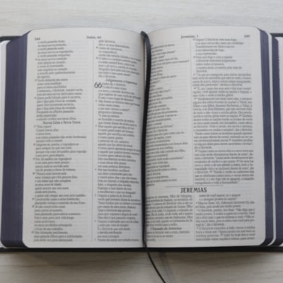 image_ab086af5-598d-4d16-bb1e-4b89d7056351