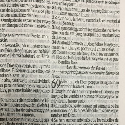 image_4a1eb481-49be-4b7c-805b-af462f5ec1fe