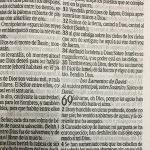 Bíblia Sagrada em Espanhol RVT Leão Preto e Branco | Capa Dura