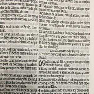Bíblia Sagrada em Espanhol RVT Leão Preto e Cinza | Capa Dura