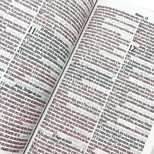 Bíblia Sagrada em Espanhol | RVT | Letra Super Gigante | Luxo Rosa