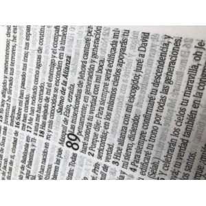 Segunda imagem do produto Bíblia Sagrada em Espanhol RVT | Lílas Luxo C/ Flores