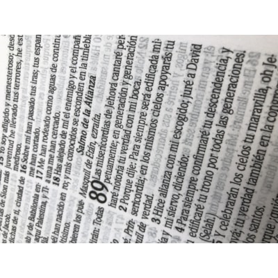 image_3ad228b8-931e-4d34-b1ad-fbcc05684c7f