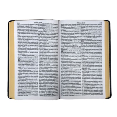 image_461fc544-f0f1-43f7-86eb-22708d3852dc