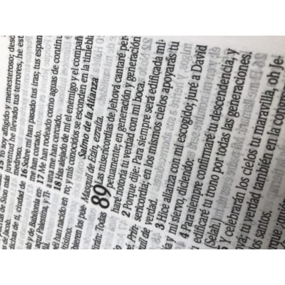 image_55613c27-37d0-4815-aa3e-a22cdf8f0b79