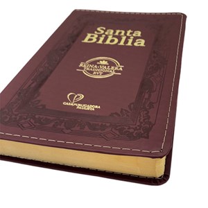 Bíblia Sagrada em Espanhol RVT | Vinho C/ Dourado