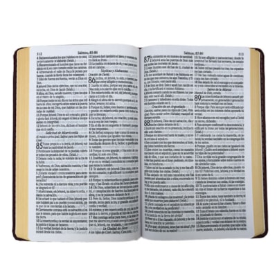 image_52afd8bd-5eb5-4410-a8a9-c4422d9f8af7