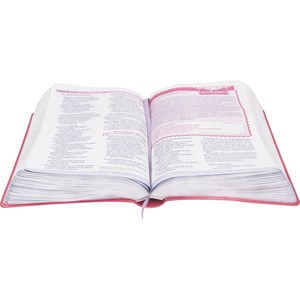 Bíblia Sagrada Entre Meninas e Deus | Letra Normal | NTLH | Capa Rosa