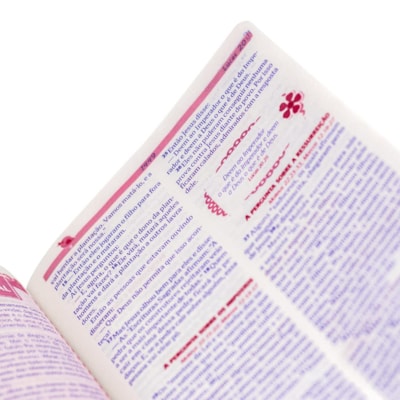 image_817e52ea-2c11-4358-8eb6-6ee2c83046bb