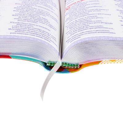 image_213c9b12-d2af-4949-a6f2-56e41c9edbfc